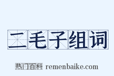 二毛子组词是什么意思的图片